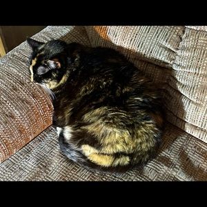 Meet your Posher, Jackie